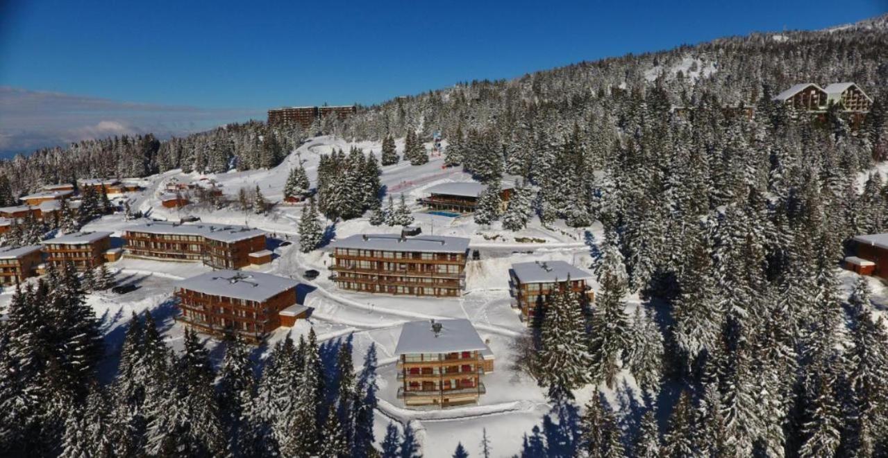 Le Cocon 4 Saisons A Chamrousse 1700 - Droseras A14 - Les Villages Du Bachat Exteriér fotografie